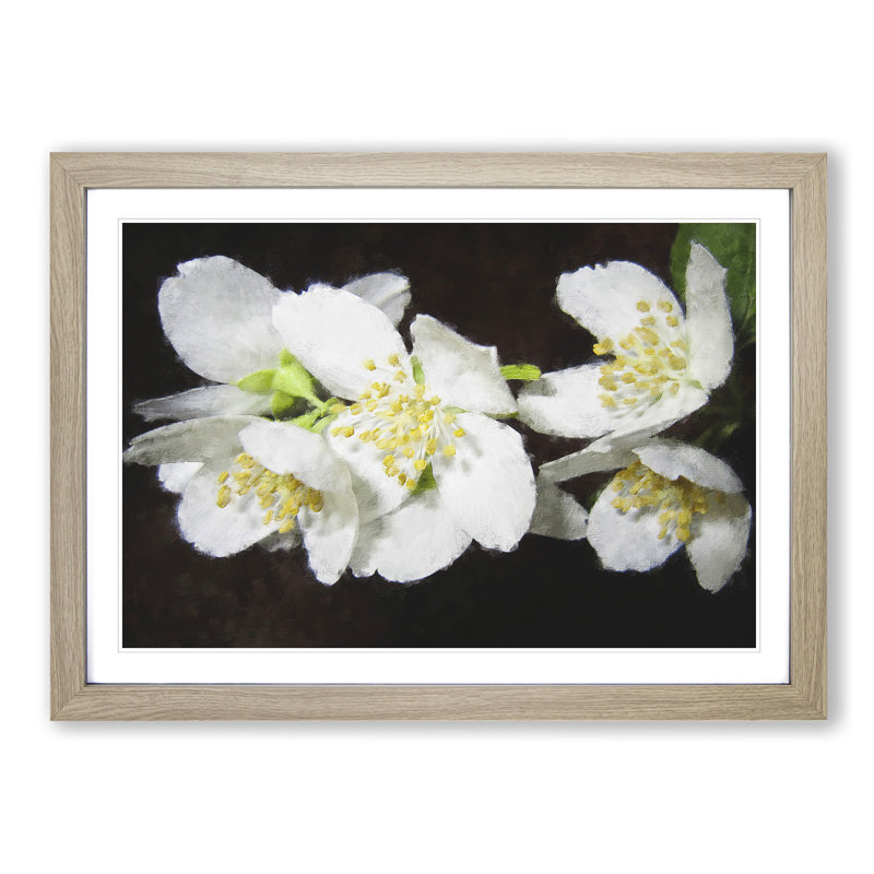 White Jasmine Flowers Painting - Picture Frame Painting Print, Oak, 33cm H x 45cm W x 2cm D