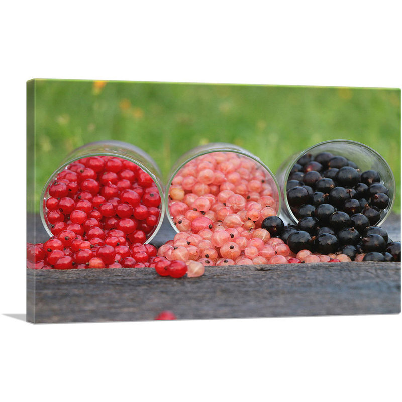«Red Pink and Black Berries», reproduction de photo sur toile tendue, H 12 po x l 18 po x 1,5 po