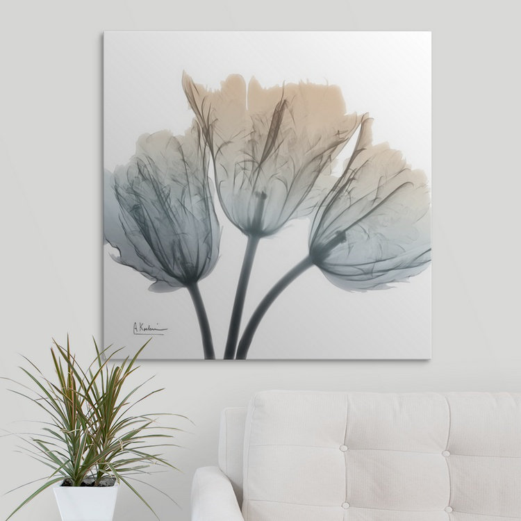 Manigault 'Earthy Tulips by Kiranjit Photographic Print, Canvas, 35" H x 35" W x 1.5" D