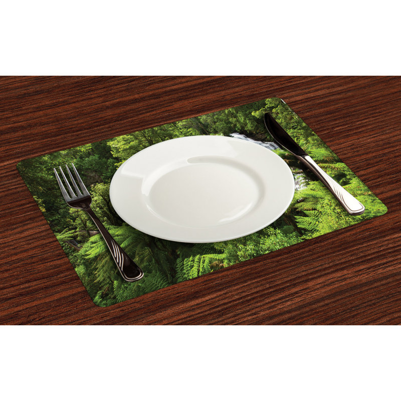 Récapitulatif 18,5" rainforest