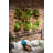 11.8'' Faux Succulent Plant in Wood Planter
