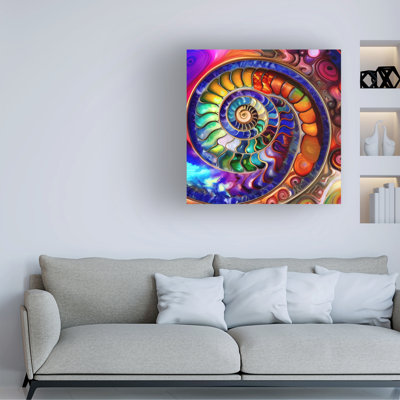 Bolog Tina Lavoie Nautilus Dance VIII Canvas Art