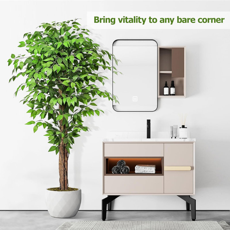 Ficus vert en pot, H 59 po x l 19,7 po x P 19,7 po