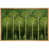 Cadre flottant naturel