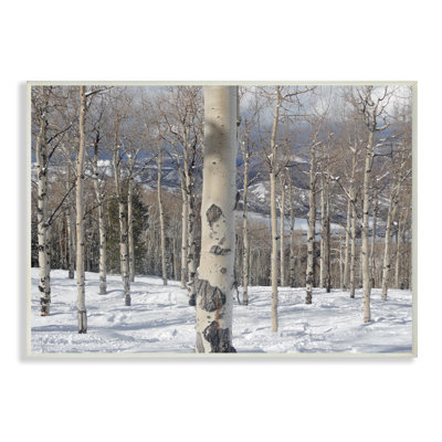 " Winter Birches " Acrylic Print