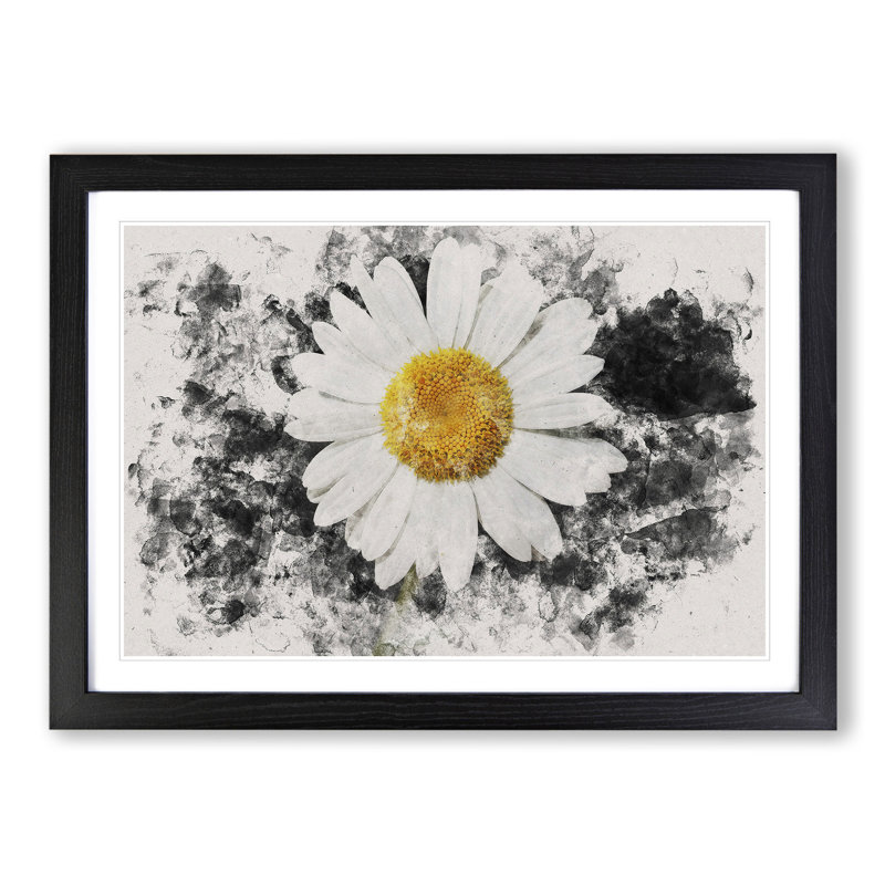 White Daisy Vol.6 - Picture Frame Graphic Art, Black Framed, 27cm H x 36cm W x 2cm D