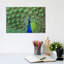 Peacock Feathers - Wrapped Canvas Print-50018192