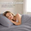 Sheet Set-138120114-138487154