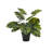19.05'' Faux Lime Plant in Metal Pot