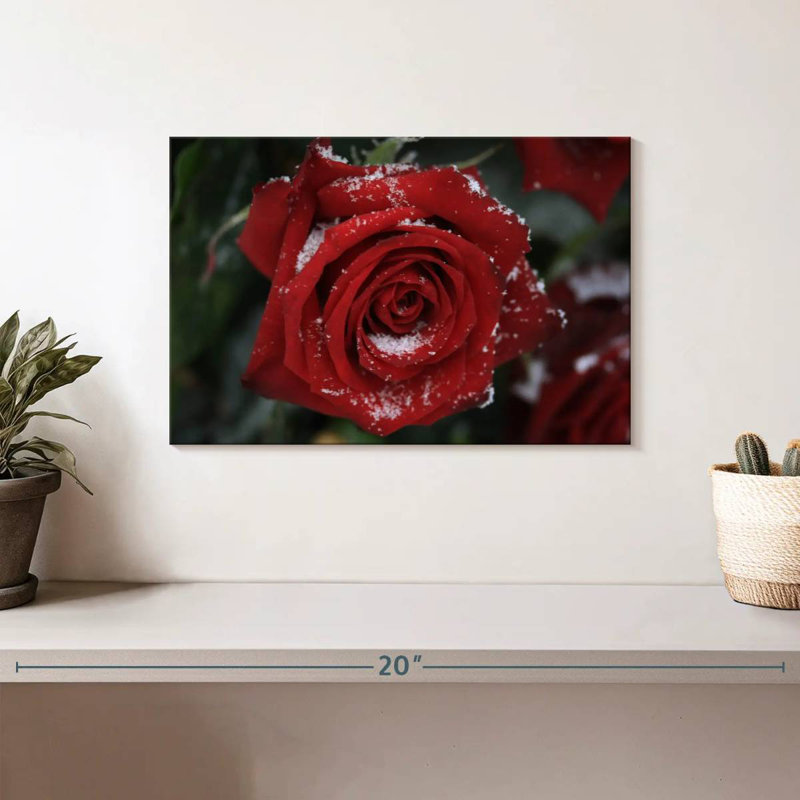 Harnek Winter Red Rose, 8" H x 12" W