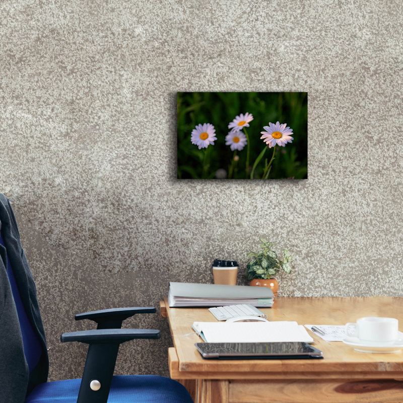 'Leucanthemum' by Rick Berk Canvas Wall Art