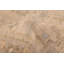 Jamshidpour Rug 8'2" x 10'3"