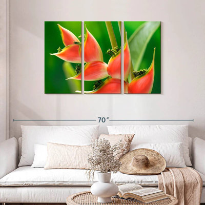 Harnek Heliconia Flower
