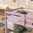 Solid Wooden , Solid Rubber Wooden Twin Over Twin Loft Bed With Ladder ,Upper And Bottom Bed Platforms Crafted With Strengthened Slats ,Pink-1491208412-1491208409