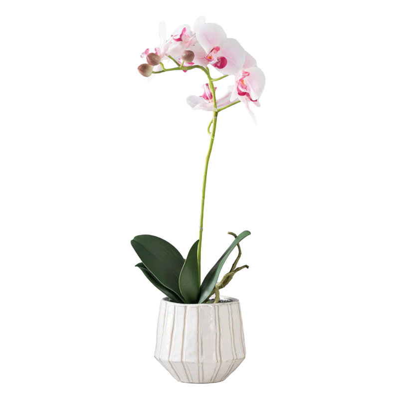  Fausse orchidée rose en pot, diamètre de 5 po et hauteur de 19,5 po