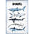 Assorted Sharks Print on Wrapped Canvas-443998063