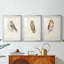 Petite chouette - impression encadrée sur mesure de qualité supérieure - 3 pièces-451118258-451118262