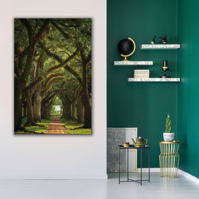  «Live Oaks In The Morning Light» par Martin Podt, art mural sur toile, 40 po x 60 po