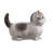 Sitting Cat Kitten Statue-Gray-116323228