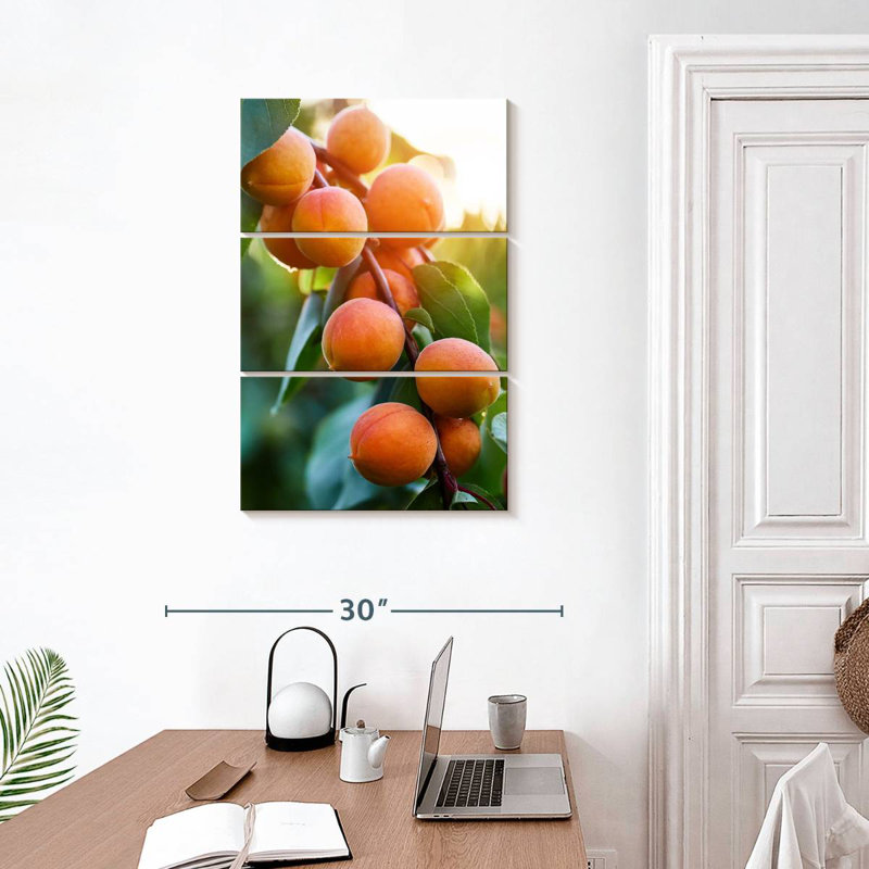 Yarlin abricots sur une branche