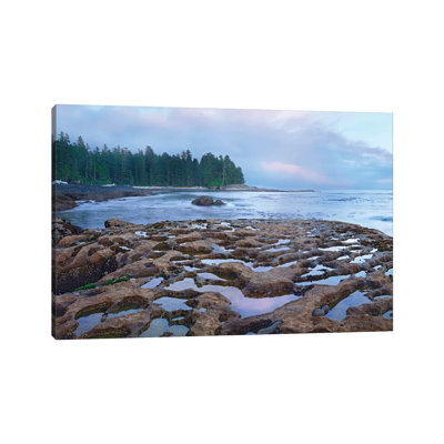 Tide Pools Exposed At Low Tide, Botanical Beach, Juan De Fuca Provincial Park, Vancouver Island, British Columbia, Canada by Tim Fitzharris - Wrapped Canvas Print