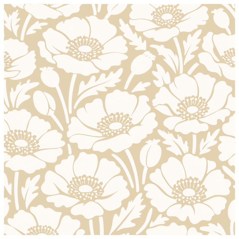 Coussins blancs à fond beige sur fond beige, 20 x 20 inches