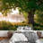 Oak Tree in Full Leaf in Summer Wall Mural-88769519