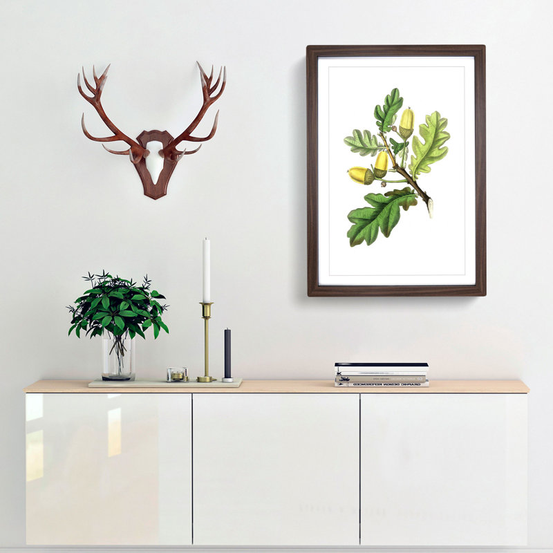 English Oak Tree Illustration - Picture Frame Painting Print, 48cm H x 36cm W x 2cm D, Walnut Framed