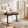 Marshun 48'' W Height Adjustable Rectangle Electric Standing Computer Desk  Home Office Desk with Drawers