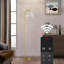 Arched Floor Lamp With Glass Shade, Remote Control And Bulb Included