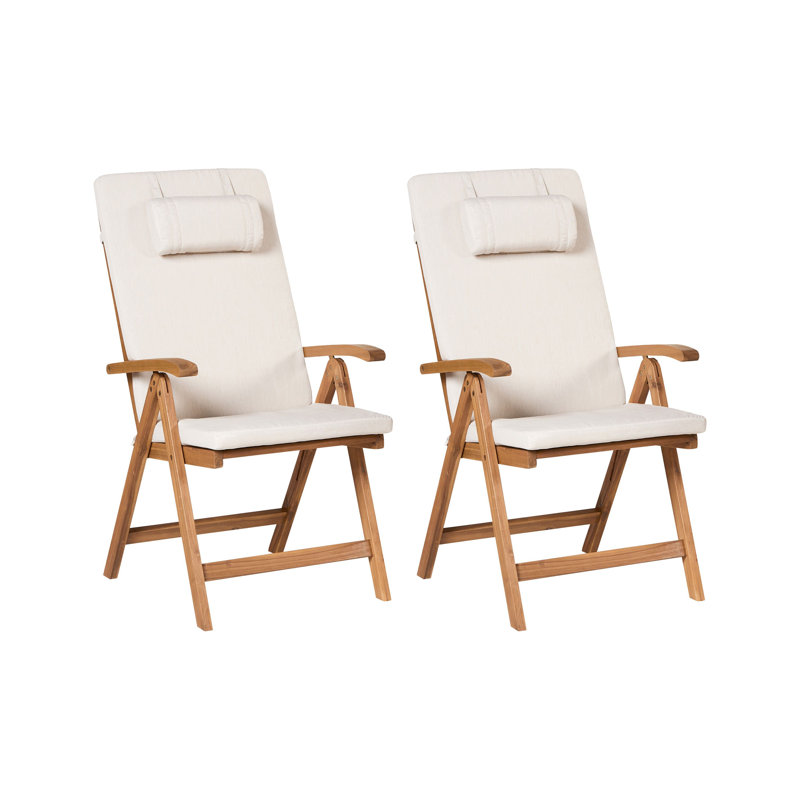 Aarica Folding Patio Dining Armchair with Cushion, Beige