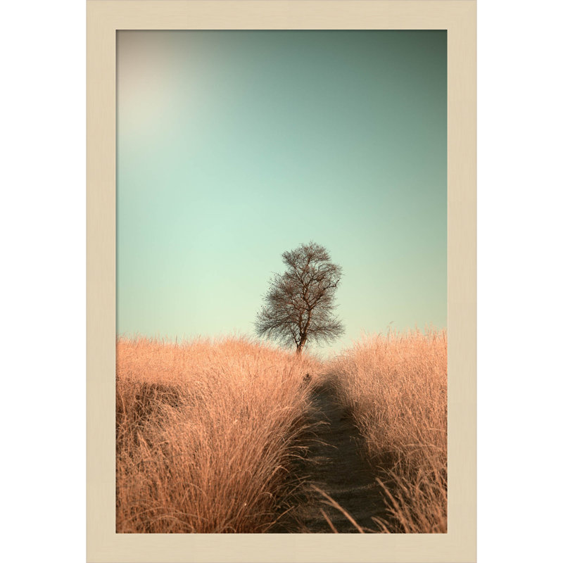 Grass And Path by Jaap Van Den, Brown, 12" W x 17" H