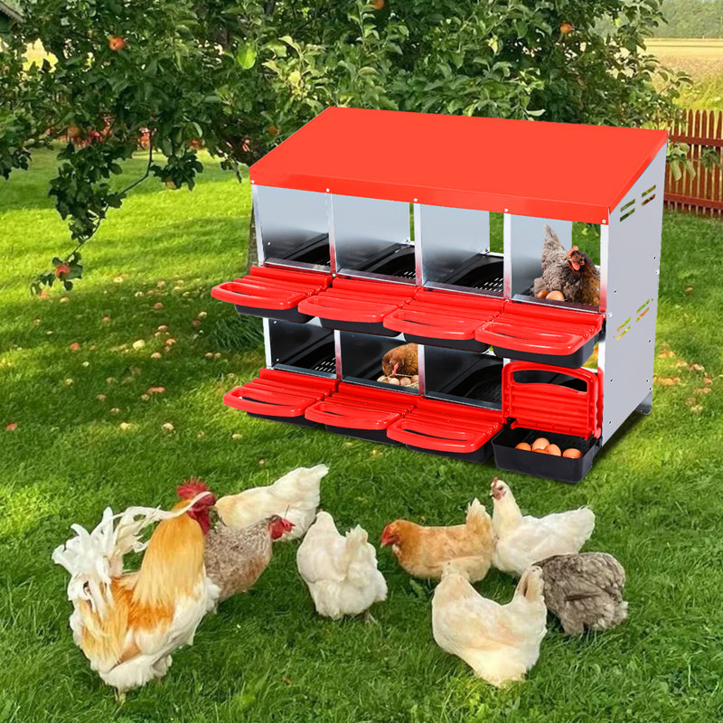 Boîte de nidification pour poulets, boîtes de nid de poule à 2 couches à 8 trous, boîtes de ponte pour œufs roulants, boîtes de perchoir escamotables nettoyables