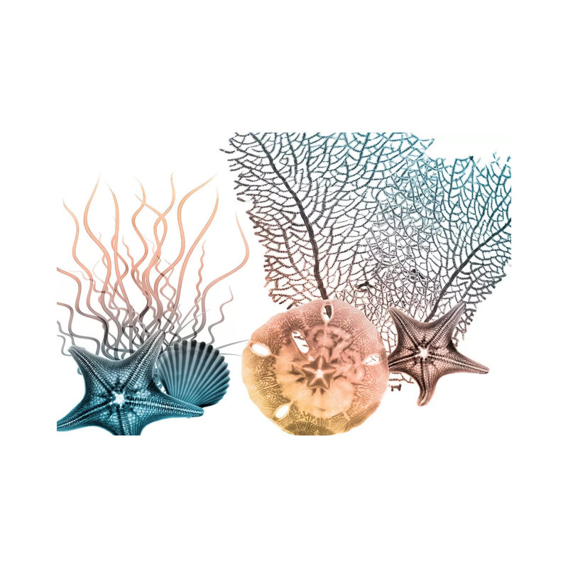 Sea Collective III by Albert Koetsier - Print on Canvas, 45.72cm H x 66.04cm W x 3.81cm D, Wrapped Canvas
