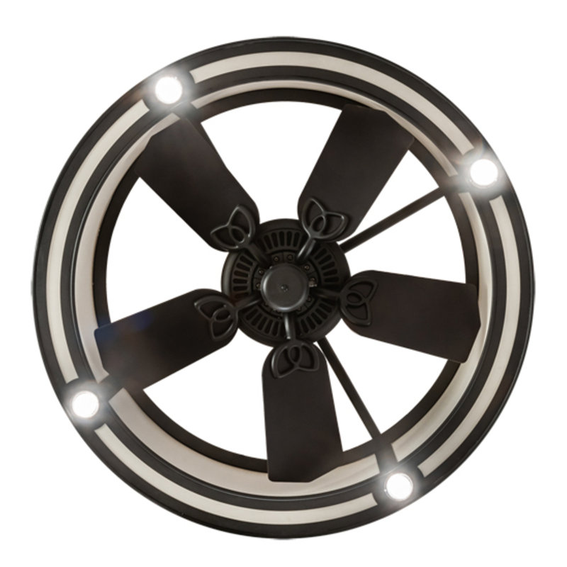 Dannae 30'' Ceiling Fan with LED Lights