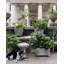 Faux Bois Planter - Square Planter - Portland, Faux Bois