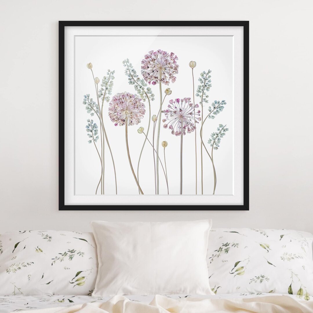 Gerahmtes Papierbild Allium Illustration