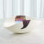 Handmade Glass Decorative Bowl