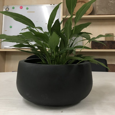 Dovenby Concrete Pot Planter