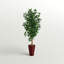 Ficus artificiel 60 po en pot