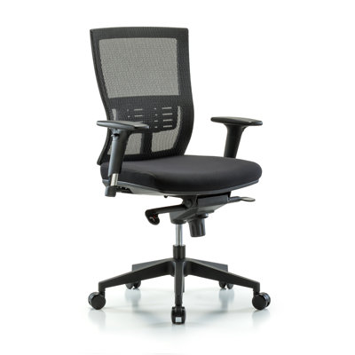 Emma Ergonomic Mesh Task Chair by Symple Stuff