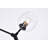 Graziano Armed Sconce-1165083477