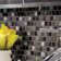 Midnight Pearl Natural Stone Mosaic Tile in Black