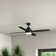 Kaya 52'' Ceiling Fan with LED Lights