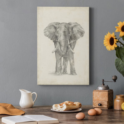" Elephant Sketch II "