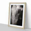 Mighty Elephant in the Shadows - Picture Frame Graphic Art Print-55740042-55740045