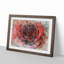 Red Rose in Abstract - Picture Frame Painting Print-55597836-55597840