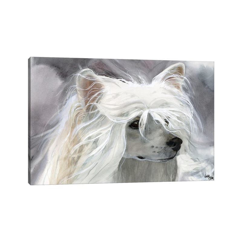 Powder Puff Girl - Powder Puff Chinese Crested by Judith Stein - Wrapped Canvas Painting
