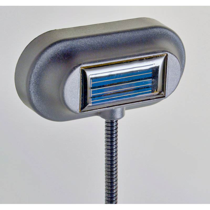 Vanesa LED Wall Light