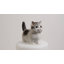Animals Weather Resistant Polyresin Garden Statue-1696497333